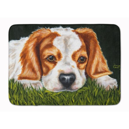Carolines Treasures Cavalier Spaniel in the Grass Machine Washable Memory Foam Mat AMB1395RUG